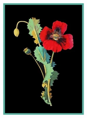 Opium Poppy Flowers inspired Mary Delany Counted Cross Stitch Pattern - Image 1 of 4