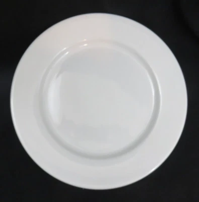Tuxton Dinner Plate Bright White Alaska Wide Rim Rolled Edge in Porcelain White