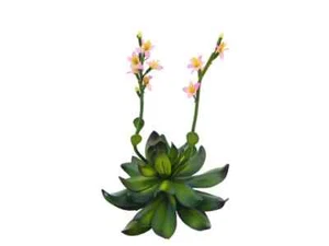 EUROPALMS Rosa Piedra (EVA), Rosa, 32cm - Imagen 1 de 1