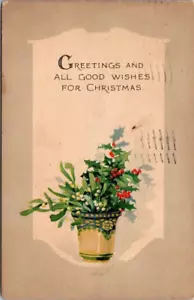 Postcard Greetings And All Good Wishes for Christmas Christmas Cactus Plant - Picture 1 of 2