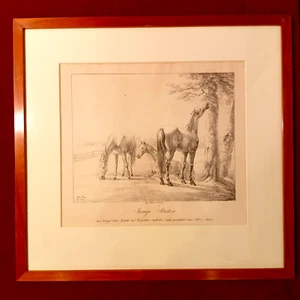 Lithografie, Junge Stuten / im Königl. baier. Gestüte zu Bergstetten. Adam - Picture 1 of 5