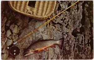 Fish And Rod, Catch Of The Day, Vintage 1971 Chrome Postcard - Bild 1 von 2