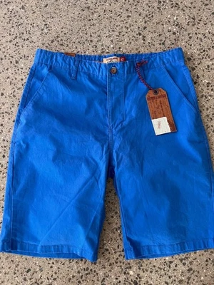 Pantalones Cortos Para Hombre Hudson And Barrow Azul Real Chinon Algodón Elástico Talla 32 Nuevos con Etiquetas Foto 1 de 4
