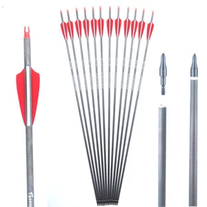 Flechas de carbono puro 28"" 30” 31"" columna vertebral 300 400 para caza con arco compuesto y recurvo - Imagen 1 de 9