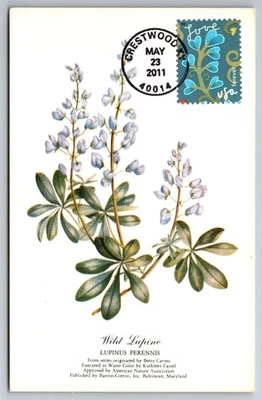 #4533 Garden of Love Blue Flowers FDC Maxi Card - Image 1 of 2