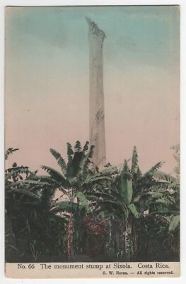 VTG 1910 Postcard, Monument Stump at Sixola, Limon Provence, Costa Rica - Image 1 of 2