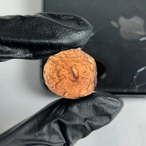 COLOMBIANITE TEKTITE - HIGHEST QUALITY 1 PIECE 7.4 gram / 0.261 oz - Picture 1 of 9