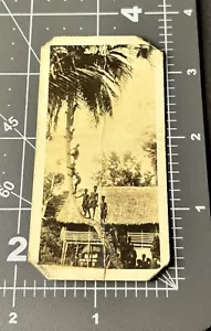 Unusual 1930s PHOTO GOSPEL TRACT Island Boys Climb Tree MISSIONARY Church - Picture 1 of 3
