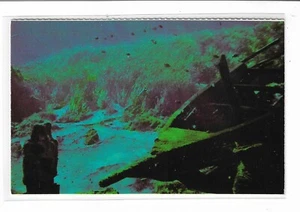 Vtg Postcard Silver Springs, Florida  - Picture 1 of 2