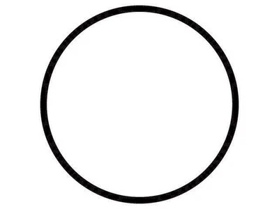 Para Ford F350 1994-1997 Termostato Junta tórica Puertas 95924JMXZ 1996 1995 Foto 1 de 2