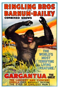 Gargantua der große Gorilla Affe Zirkus Show Werbung Poster Kunstdruck - Bild 1 von 1