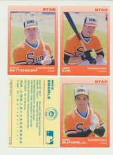 Partial set of 25/27 cards 1988 Star Hagerstown Suns  no variations