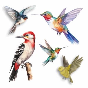 Bird Vinyl Wall Sticker Decals Laptop Bin Car Art Craft Home Decor Graphic A5-A3 - Picture 1 of 48