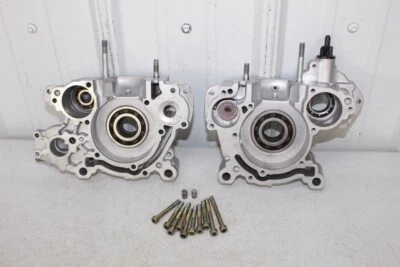 Juego de cárter de motor de kart Rotax Max FR125 FR 125 Foto 1 de 4