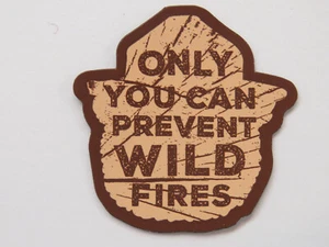 Gummi Kühlschrankmagnet: SMOKEY BEAR "Nur Sie können Waldbrände verhindern" Zitat - Bild 1 von 2