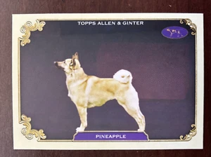 Star of Show Westminster Kennel Club Card SOS-32 2024 Topps Allen & Ginter - Picture 1 of 3