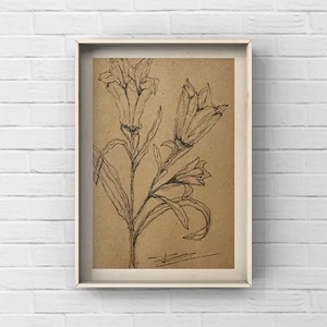 Minimalism Botanical Art Flower Plant Pencil Drawing Floral Liner Signed Sketch - Picture 1 of 12