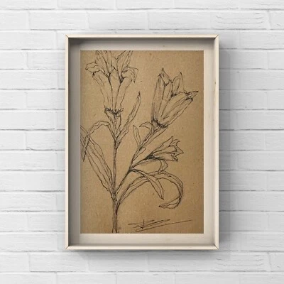 Minimalismo Arte Botánico Flor Planta Lápiz Dibujo Floral Delineador Boceto Firmado Foto 1 de 4
