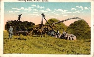 Thresing Scene Western Canada Vintage Postcard - Picture 1 of 2