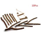10Pcs Parrot Stand Rod Natural Wood Fork Perch Swing Pet Chewing