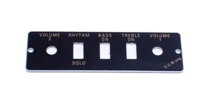 NEW - Genuine Hofner Control Panel Plate - BLACK, #HA2B-B - Picture 1 of 1