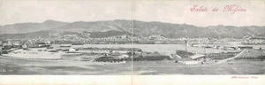 A1709) SALUTI DA MESSINA CARTOLINA DOPPIA - Picture 1 of 2