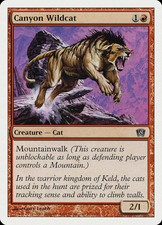 FOIL Canyon Wildcat | MtG Magic 8th Edition | English | Near Mint