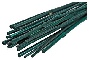 3ft GREEN BAMBOO PLANT STAKES (25 Pack) 36" Wood Garden Support Stick