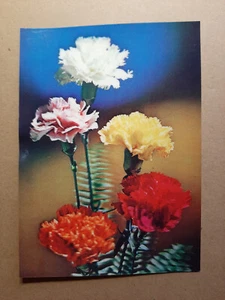 Vintage 3D Lenticular Postcard PK-276, CARNATION, TOPPAN, Zurich - Picture 1 of 2
