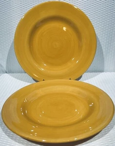 Lot Of 2 ~ 11 1/4” Corsica Home Tangerine Dinner Plates Hand Painted W/ Sticker - Picture 1 of 9