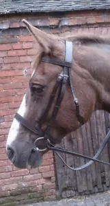 Hunter Bridle, Cavesson Bridle, MARRONE/AVANA, COMPLETO, spedizione gratuita uk - Foto 1 di 1