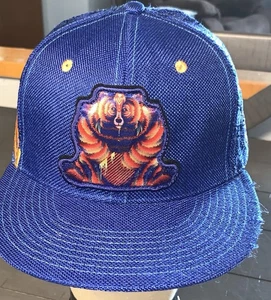 GRASSROOTS CALIFORNIA SUNSQUABI BLUE BEAR PATCH SNAPBACK HAT 420 - Imagen 1 de 24