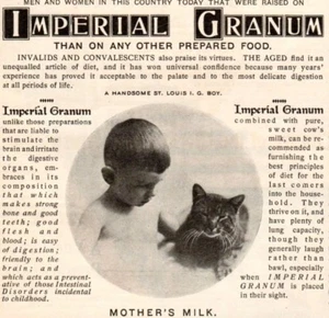 Impresión de anuncio vintage 1899 Grano Imperial cereal niño y gato lindo sociedad literaria - Imagen 1 de 4