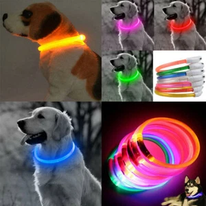 Leuchtende LED Hundehalsband Beleuchtung Haustier Halsbände Nacht Sicherheit USB - Bild 1 von 20