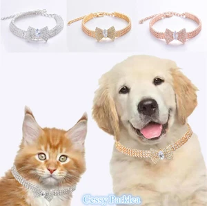 SN-C3-4 Mascota Gato Perro Brillante Estrás Collar Collar con Arco Colgante Dorado Plata - Imagen 1 de 10