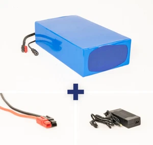 Akku 24V 30Ah 720Wh Lithium-Ion Akkupack Scooter E-Bike Pedelec Battery 20A BMS - Picture 1 of 4
