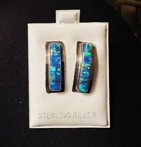 Sterling Silver Genuine Turquoise Earrings - Picture 1 of 2