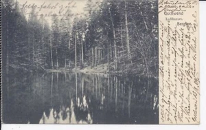 852 Gschwend Waldsee 1915 Ansichtskarte Baden Württemberg LIQUIDATION - Bild 1 von 2