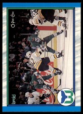 1989-90 O-Pee-Chee Hartford Whalers . Hartford Whalers #304