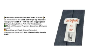 Boys' Woven Zip Necktie - Cat & Jack Color Gray - Size M/L - Picture 1 of 10