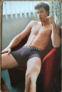 Shawn Mendes 8x12 Blechschild Promi Musiker Sänger sexy Wandbild Deko Poster - Bild 1 von 2