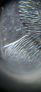2020 P Samoa Bat "Extra Whiskers "Error Coin - Picture 1 of 3