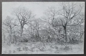Grand dessin d’Edme SAINT-MARCEL. Marlotte. Fontainebleau. - Picture 1 of 3