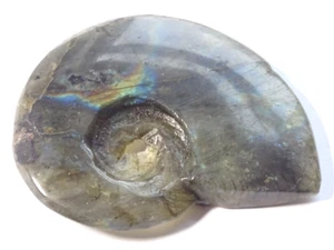 CARVED LABRADORITE AMMONITE - 6.3 x 4.8 cms 42.45 gms bright flash - Picture 1 of 5