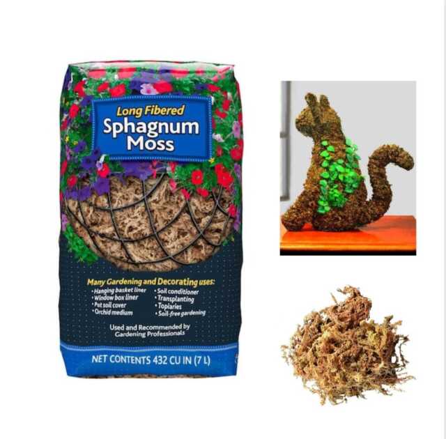 Professional Supply Garden Potted Orchid Moisturizing Sphagnum Moss - China Sphagnum  Moss and Moss price