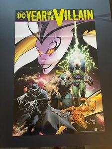 Year of the Villain Promo Poster - 24" x 36" (DC) - Picture 1 of 1