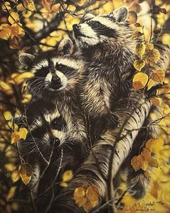 Vivi K. Crandall - The Wash Bears LTD. - Procioni - Firmato e numerato 425/760. - Foto 1 di 8