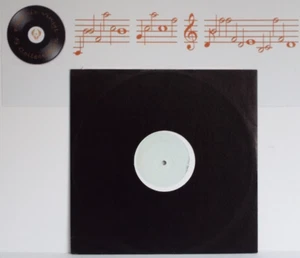 Whitney Houston Queen Of The Night 12” Single Promo White Label - EX - Picture 1 of 3