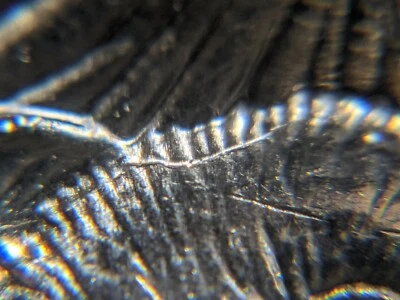 2020-D Die Break US Mint Error America the Beautiful Quarter - Image 1 of 4