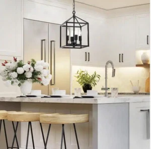 Merra 9.5 in. 4-Light Black Caged Chandelier Open Frame w Retro Industrial Style - Picture 1 of 5